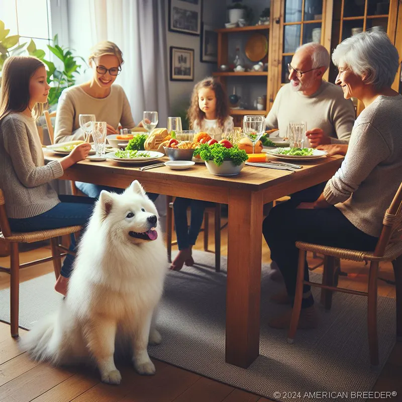 Working Dogs Samoyed Puppy 43347