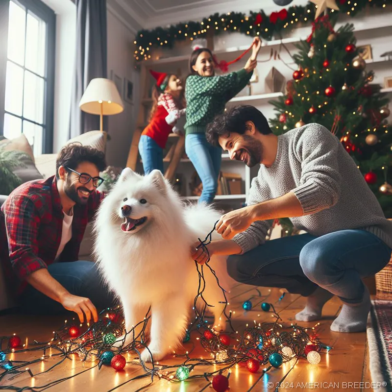 Working Dogs Samoyed Puppy 53348